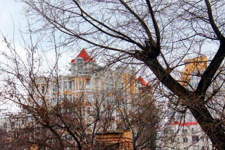 Незимняя зима в Одессе (фоторепортаж)