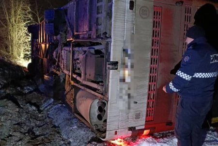 Автобус Кишинёв - Одесса слетел с трассы и перевернулся, обошлось без пострадавших (фото)