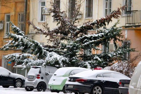 В Одессе выпал первый снег, подарив жителям города зимнее настроение и яркие кадры (фоторепортаж)