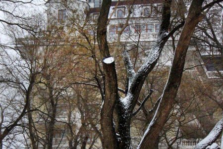 В Одессе выпал первый снег, подарив жителям города зимнее настроение и яркие кадры (фоторепортаж)