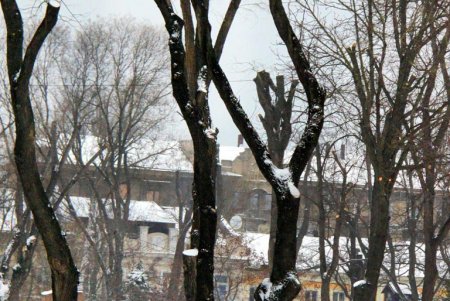 В Одессе выпал первый снег, подарив жителям города зимнее настроение и яркие кадры (фоторепортаж)
