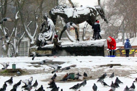 В Одессе выпал первый снег, подарив жителям города зимнее настроение и яркие кадры (фоторепортаж)