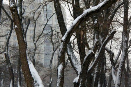 В Одессе выпал первый снег, подарив жителям города зимнее настроение и яркие кадры (фоторепортаж)
