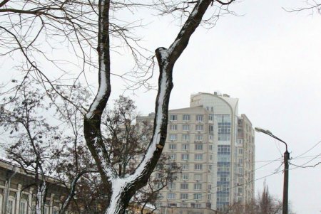 В Одессе выпал первый снег, подарив жителям города зимнее настроение и яркие кадры (фоторепортаж)