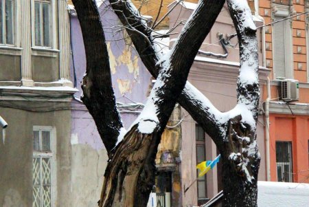 В Одессе выпал первый снег, подарив жителям города зимнее настроение и яркие кадры (фоторепортаж)