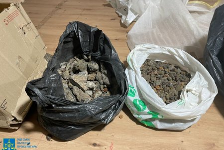 За незаконное приобретение янтаря предпринимателю из Одесской области грозит до семи лет тюрьмы (фото)
