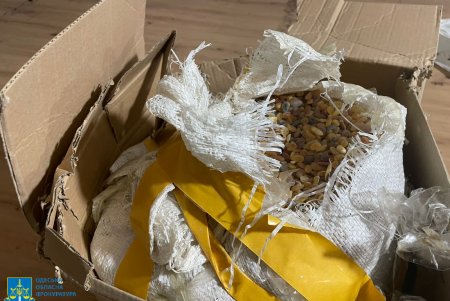 За незаконное приобретение янтаря предпринимателю из Одесской области грозит до семи лет тюрьмы (фото)