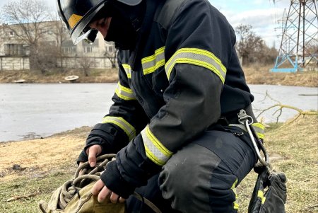 В парке Савицкого мужчина провалился под лед, спасая свою собаку (фото, видео)