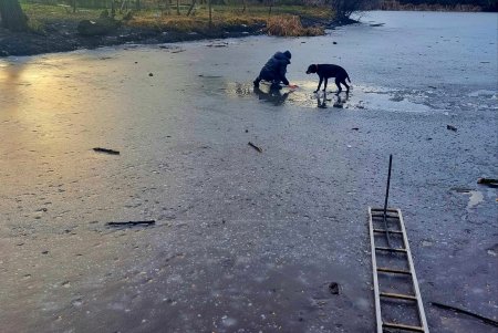 В парке Савицкого мужчина провалился под лед, спасая свою собаку (фото, видео)
