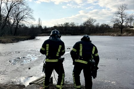 В парке Савицкого мужчина провалился под лед, спасая свою собаку (фото, видео)