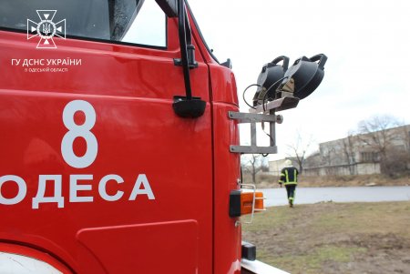 В парке Савицкого мужчина провалился под лед, спасая свою собаку (фото, видео)