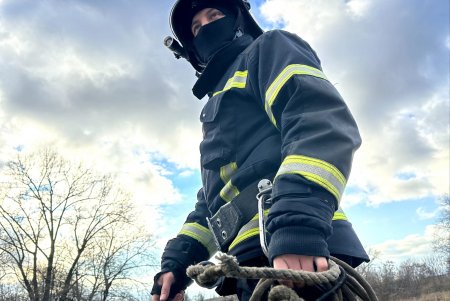 В парке Савицкого мужчина провалился под лед, спасая свою собаку (фото, видео)