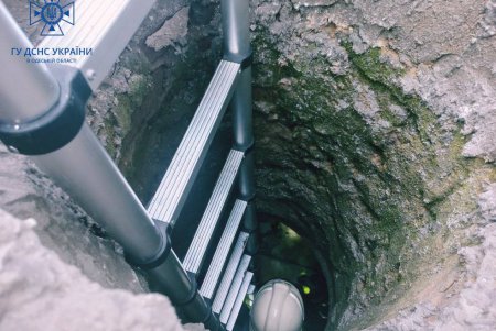 В Подольске спасатели достали из четырехметровой ямы щенка (фото, видео)