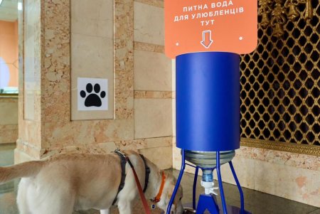 На железнодорожных вокзалах в Одессе и еще 10 городов установлены поилки для домашних животных (фото)