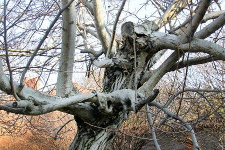 Частный сектор, современные здания и старинная остановка переулка Леваневского (фоторепортаж)  