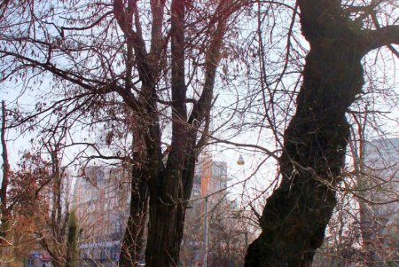 Частный сектор, современные здания и старинная остановка переулка Леваневского (фоторепортаж)  