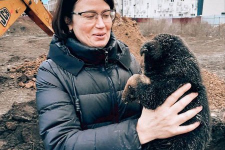 В Суворовском районе щенок провалился в глубокую и узкую яму: спасать его пришлось с помощью экскаватора (фото, видео)
