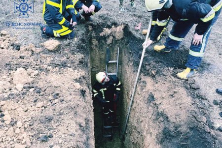 В Суворовском районе щенок провалился в глубокую и узкую яму: спасать его пришлось с помощью экскаватора (фото, видео)
