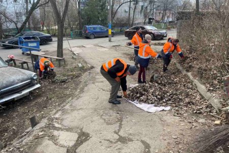 Коммунальщики убрали бюветные комплексы, памятники и склоны на Балковской (фото)
