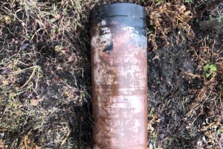 В Подольском районе спасатели ликвидировали пожар в летней кухне частного домостроения (фото)