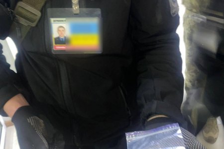 Рембо помог пограничникам обнаружить наркотики на паромной переправе в Орловке (фото)