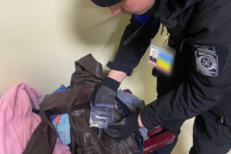 Рембо помог пограничникам обнаружить наркотики на паромной переправе в Орловке (фото)