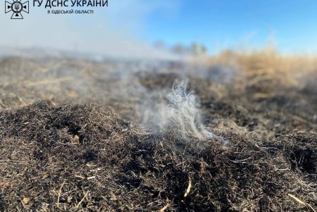 В Березовском районе спасатели ликвидировали возгорание сухой травы: ее поджег неизвестный