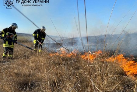 В Березовском районе спасатели ликвидировали возгорание сухой травы: ее поджег неизвестный