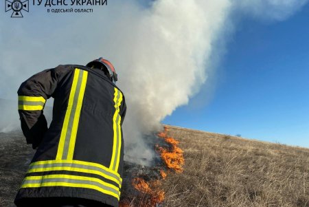 В Березовском районе спасатели ликвидировали возгорание сухой травы: ее поджег неизвестный