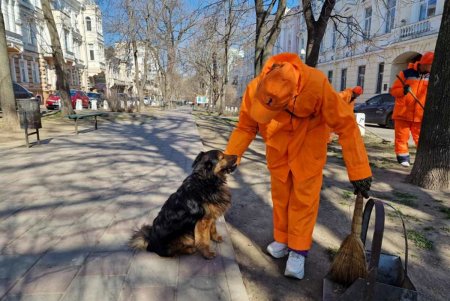 В субботу коммунальщики убирали мусор, мыли памятники и проверяли электросети в разных районах города (фото)