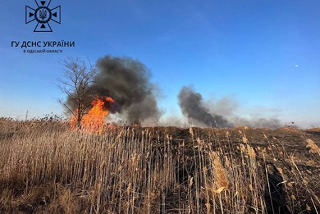 Одесса: пожар на полях фильтрации распространился на площади в пять тыс. квадратных метров