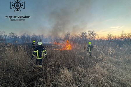 Одесса: пожар на полях фильтрации распространился на площади в пять тыс. квадратных метров