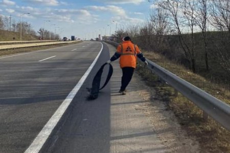 Одесские дорожники приступили к устранению последствий зимнего периода (фото)