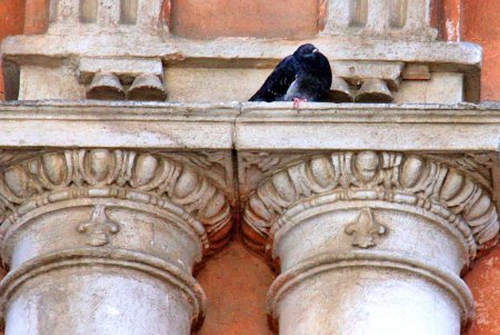 Улица Дидрихсона: фотопрогулка по одесской улице вузов (фоторепортаж) 