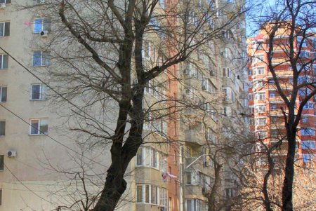 Улица Дидрихсона: фотопрогулка по одесской улице вузов (фоторепортаж) 