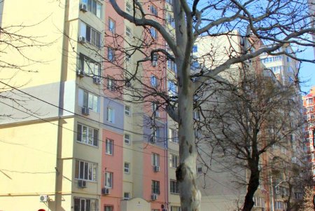 Улица Дидрихсона: фотопрогулка по одесской улице вузов (фоторепортаж) 