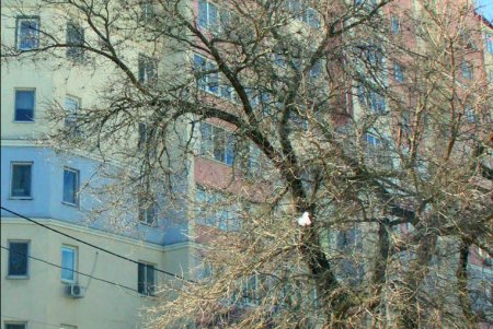 Улица Дидрихсона: фотопрогулка по одесской улице вузов (фоторепортаж) 