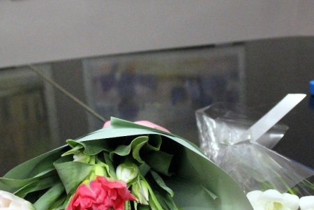 Одесситам предлагают полюбоваться красотами родного города на выставке «Весна на склонах Одессы» (фоторепортаж)