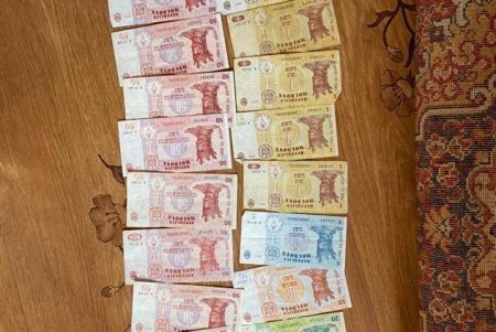 Преступная группировка из Подольского района вербовала людей для получения соцвыплат на территории Франции (фото)