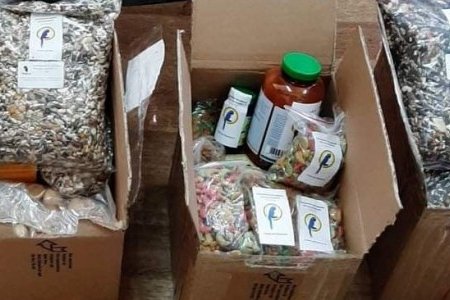 Одесский зоопарк выражает благодарность за поддержку во время войны (фото)