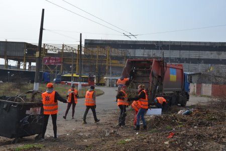 «Преврати свалку в цветник»: коммунальщики посадили на Химической деревья для предотвращения стихийного скопления мусора (фото)