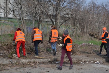 «Преврати свалку в цветник»: коммунальщики посадили на Химической деревья для предотвращения стихийного скопления мусора (фото)