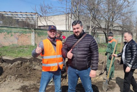 «Преврати свалку в цветник»: коммунальщики посадили на Химической деревья для предотвращения стихийного скопления мусора (фото)