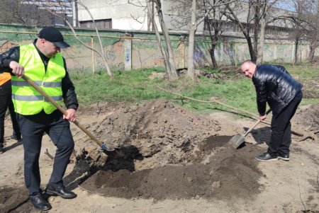 «Преврати свалку в цветник»: коммунальщики посадили на Химической деревья для предотвращения стихийного скопления мусора (фото)