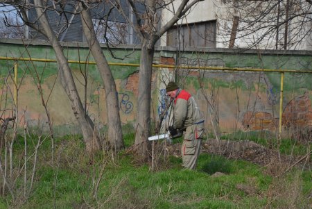 «Преврати свалку в цветник»: коммунальщики посадили на Химической деревья для предотвращения стихийного скопления мусора (фото)