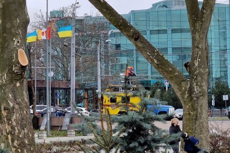 Одесские коммунальщики провели большую уборку на двух основных зеленых локациях города (фото)