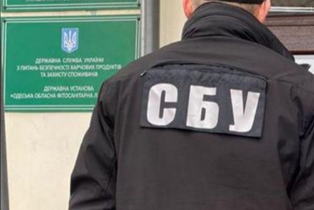 СБУ устранила коррупционную схему, связанную с «зерновым соглашением» (фото)