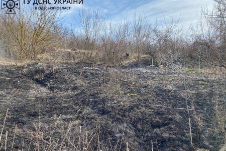 Жительница Подольского района пыталась жечь мусор, но сожгла все живое на 80 квадратных метрах (фото)