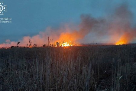 В Суворовском районе Одессы горели поля орошения (фото, видео)