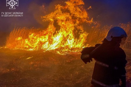 В Суворовском районе Одессы горели поля орошения (фото, видео)